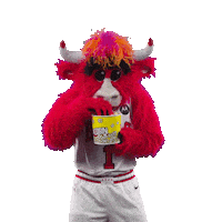Sticker gif. Benny The Bull, the Chicago Bulls mascot, is wearing the Bulls uniform and stuffs popcorn into its mouth.