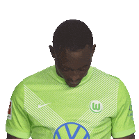 Vfl Wolfsburg Smile Sticker by Bundesliga