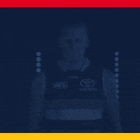 Afl GIF by Adelaide Crows