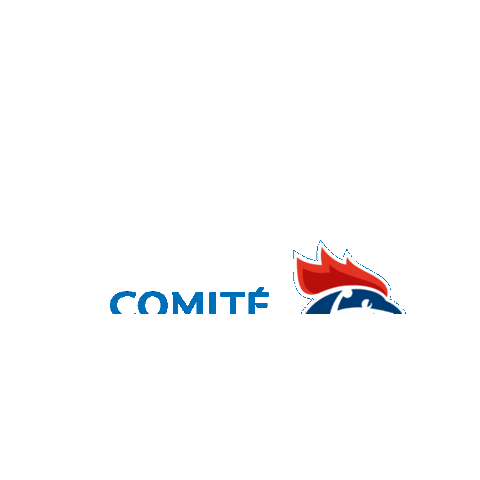 comitehandaveyron giphygifmaker handball aveyron handball aveyron Sticker