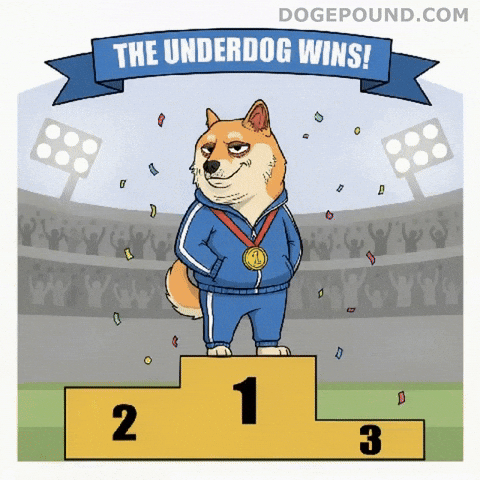 Proud Shiba Inu GIF by Doge Pound