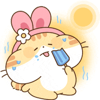 Lookiivn cutie cute cat funny cat de thuong GIF