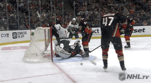 Ice Hockey Sport GIF by NHL