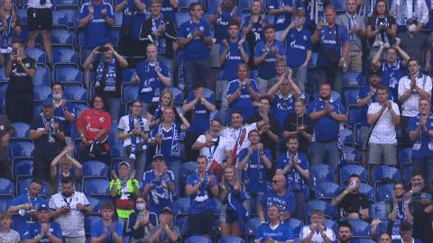 Veltins Arena Win GIF by FC Schalke 04