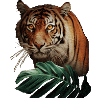 Safari Noir Sticker by Dallas Zoo