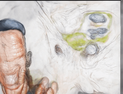 Lab Onf GIF by Alex Boya