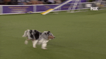 Jennifer Gets A Good Lead Out