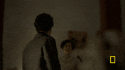 genius tv GIF by National Geographic Channel