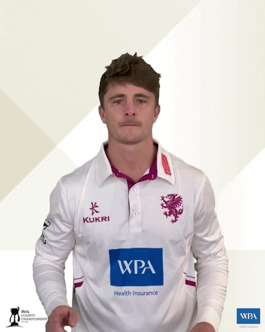 Sport Wpa GIF by Somerset County Cricket Club