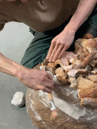 Art Animation GIF by Alex Boya