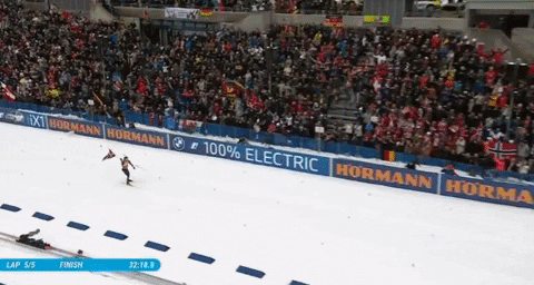 janvojkvka giphyupload GIF
