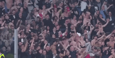 champions league football GIF by UEFA