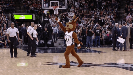 excited san antonio spurs GIF by NBA