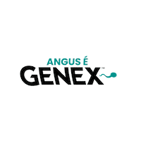 Sticker Brand Sticker by Genex Brasil