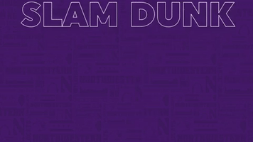 GIF by Northwestern Athletics