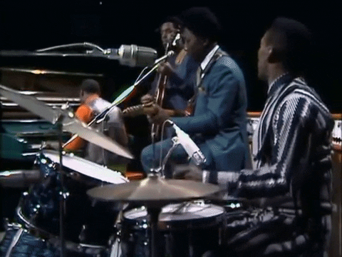 GIF by Muddy Waters