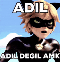 _Skill_games_ miraculous chat noir skillgames adil degil amk GIF