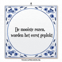 Humor Moment GIF by Tegelspreuken.nl