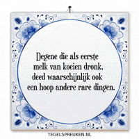 Nl Wijsheid GIF by Tegelspreuken.nl