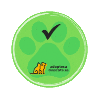 adoptesumascota cat dog gato adoption Sticker