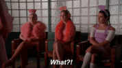 fox GIF by ScreamQueens