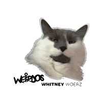 WhitneyWoerz weird whitney weirdos weirdcat Sticker