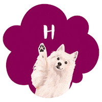 Love Dogs Hello Sticker by puppytales