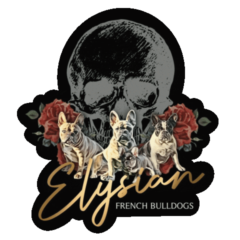 Elysian Bulldogs Sticker by zoopeez