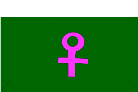 Animbordar giphyupload camino womansday GIF