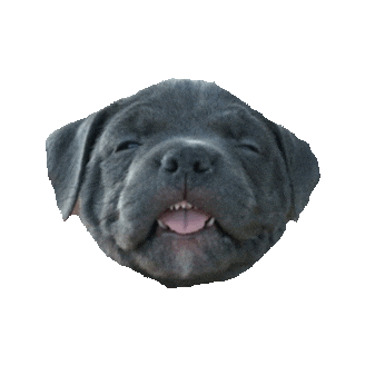 tired tongue STICKER by imoji
