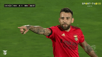 Sl Benfica Point GIF by Sport Lisboa e Benfica