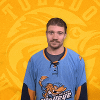 Hockey GIF by Toledo Walleye