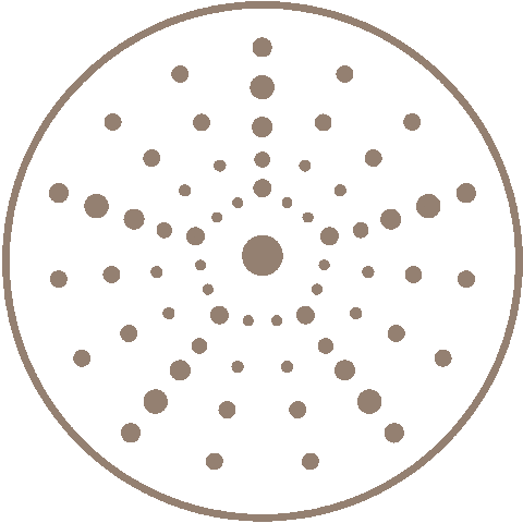 lebarthvillas giphyupload caribbean shell sbh Sticker
