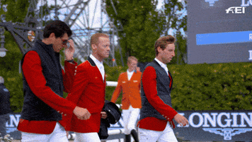 FEI_Global sports cool sunglasses horse GIF