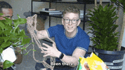 tyleroakley flower youtube house plant GIF