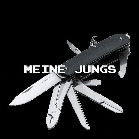 MEINEJUNGS giphygifmaker meine jungs GIF