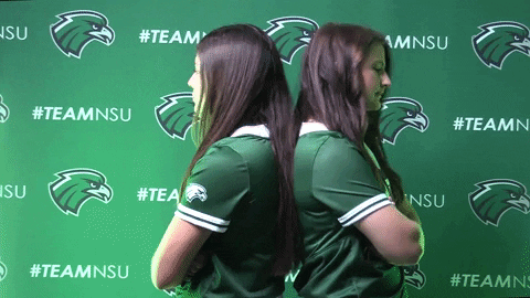 Softball GIF by RiverHawk Sports