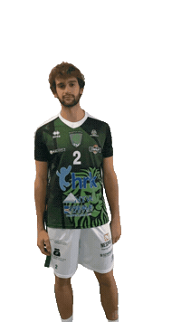 Volley Leoni Sticker by Pallavolo_motta