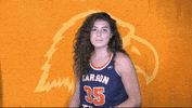 Cnwb19 GIF by Carson-Newman Athletics