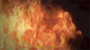 tv show disney GIF by Beyond