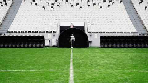 Black Eagle GIF by Besiktas JK