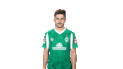 Bundesliga Austria Sticker by SV Werder Bremen