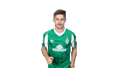 Bundesliga Austria Sticker by SV Werder Bremen