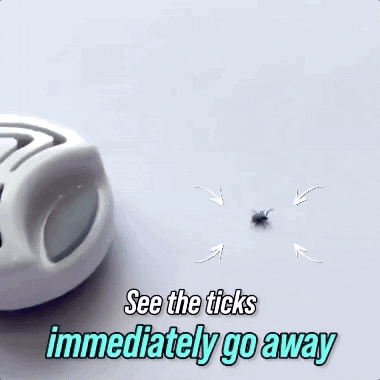 jengbautista giphyupload GIF