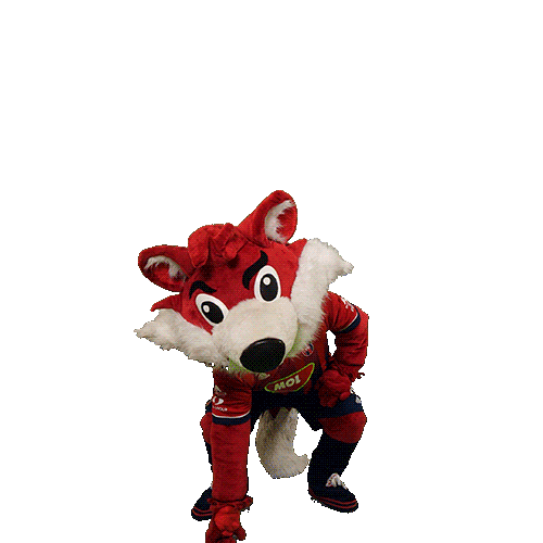 molfehervarfcgif fox vidi roka szekesfehervar Sticker