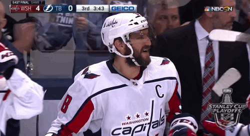 happy ice hockey GIF by NHL