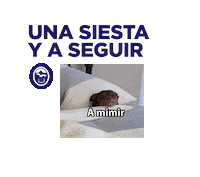 Unc Sticker by UNCUYO