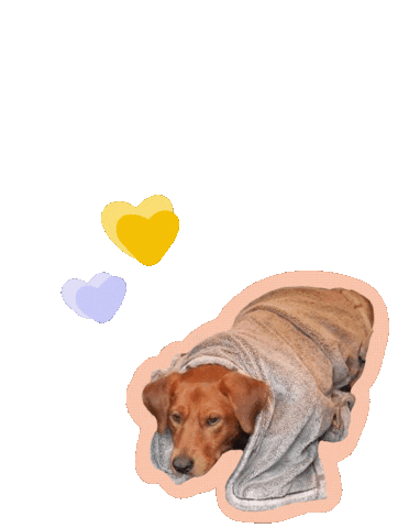 Burrito Hearts Sticker