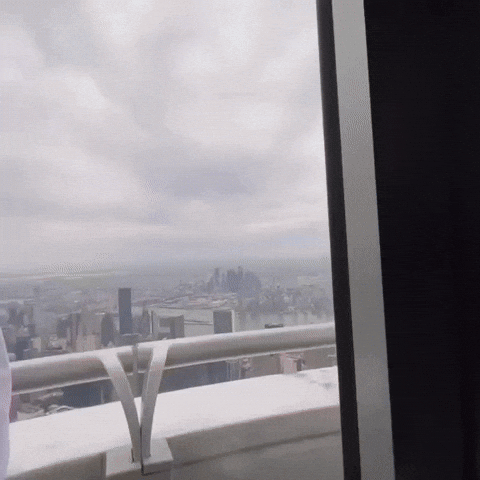 New York City Flower GIF by Empire State Building