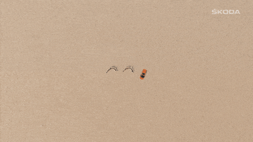 Car Smile GIF by ŠKODA India